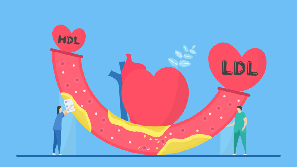 Difference between good and bad cholesterol